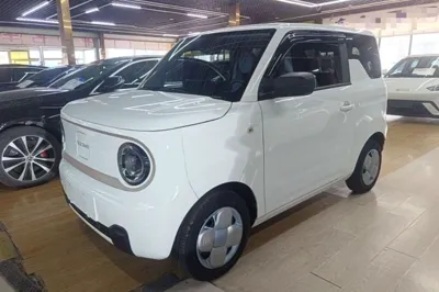 Geely Galaxy Panda