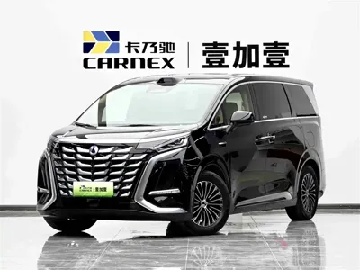 Denza Denza D9