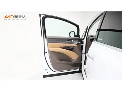 Denza Denza D9