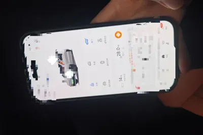 Li Auto L6