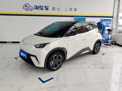 BYD Seagull