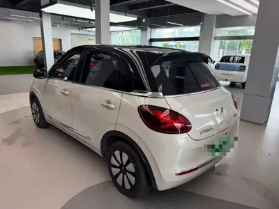 Wuling Bingo