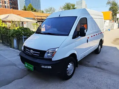 Maxus V80