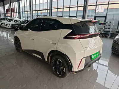 BYD Seagull