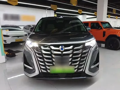 Denza Denza D9