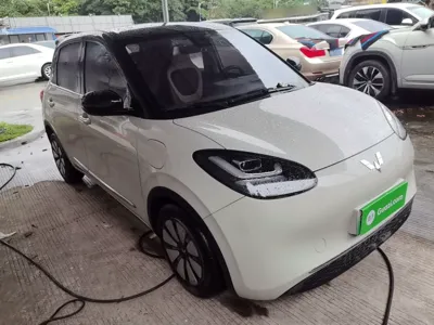 Wuling Bingo