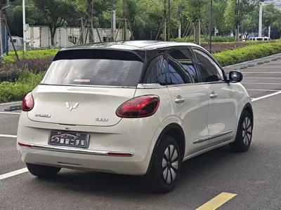 Wuling Bingo