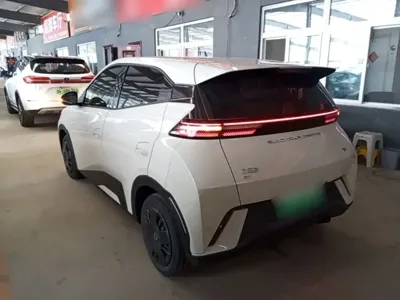 BYD Seagull