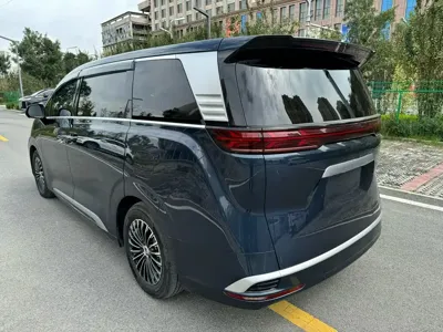 Denza Denza D9