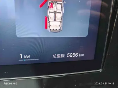 BYD M9