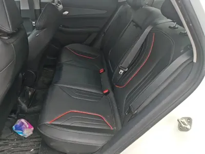 Geely Binrui