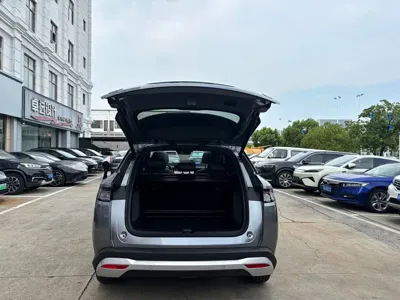 BYD L DM-i