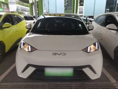BYD Seagull
