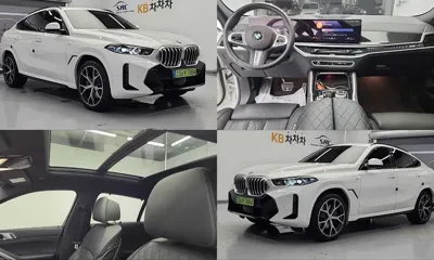 BMW X6