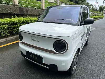 Galaxy Panda