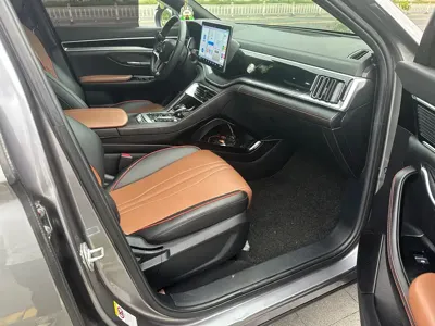 BYD PLUS