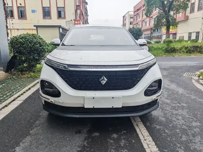 Baojun RM-5