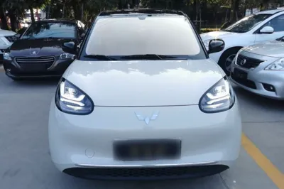 Wuling Bingo