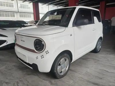 Galaxy Panda