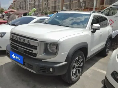 Haval Big Dog