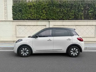 Wuling Bingo