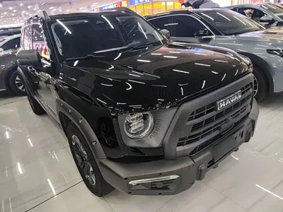 Haval Big Dog
