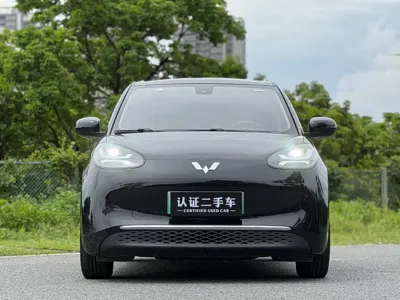 Wuling Bingo