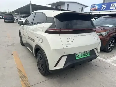 BYD Seagull