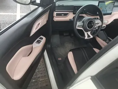 BYD Seagull
