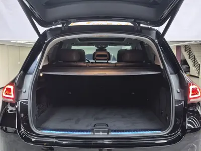 Mercedes-Benz 奔驰GLE(进口)