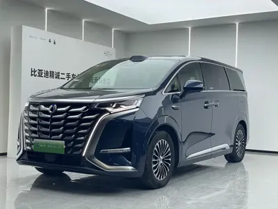 Denza Denza D9