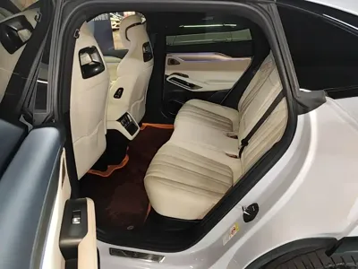 BYD L EV
