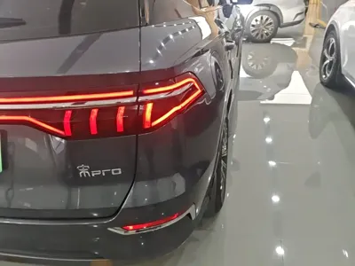 BYD Pro New Energy