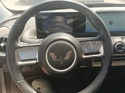 Wuling Bingo