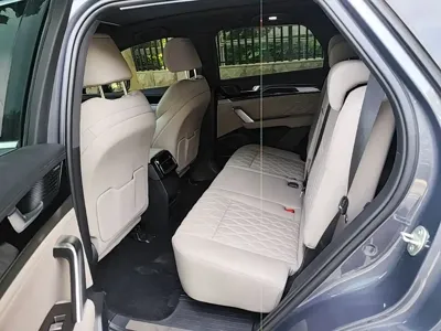 BYD Tang New Energy