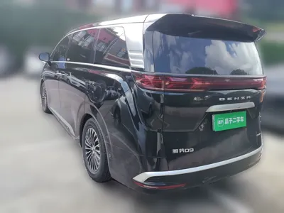 Denza D9
