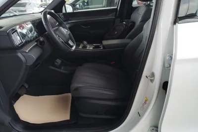 BYD Song Pro New Energy