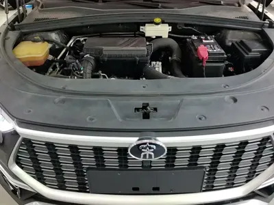 BYD PLUS