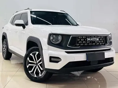 Haval 哈弗大狗 PLUS