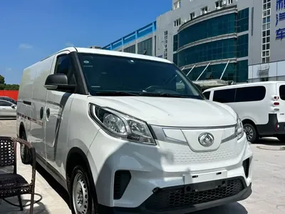 大通 EV30