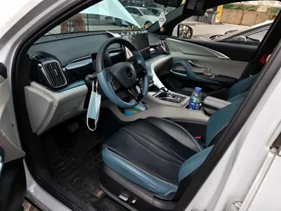BYD Pro