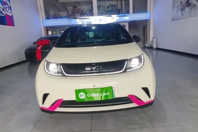 BYD Dolphin