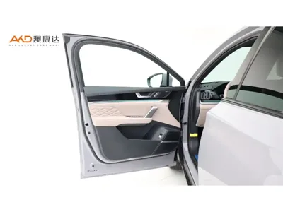 BYD Tang New Energy