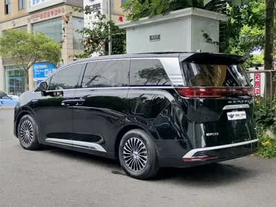 Denza Denza D9