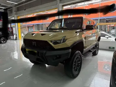 Mengshi Mengshi 917