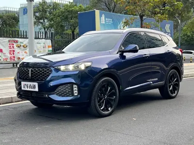 WEY Wey VV6