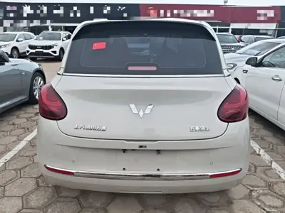 Wuling Bingo