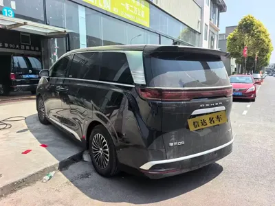Denza Denza D9
