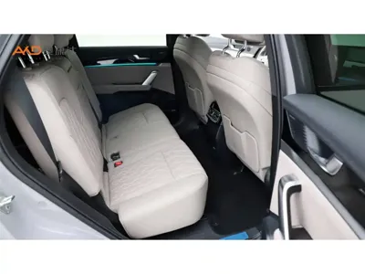 BYD Tang New Energy
