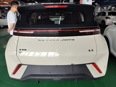 BYD Seagull